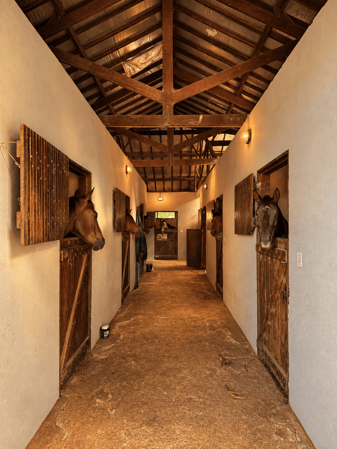 Haras Serra Bonita, foto 2